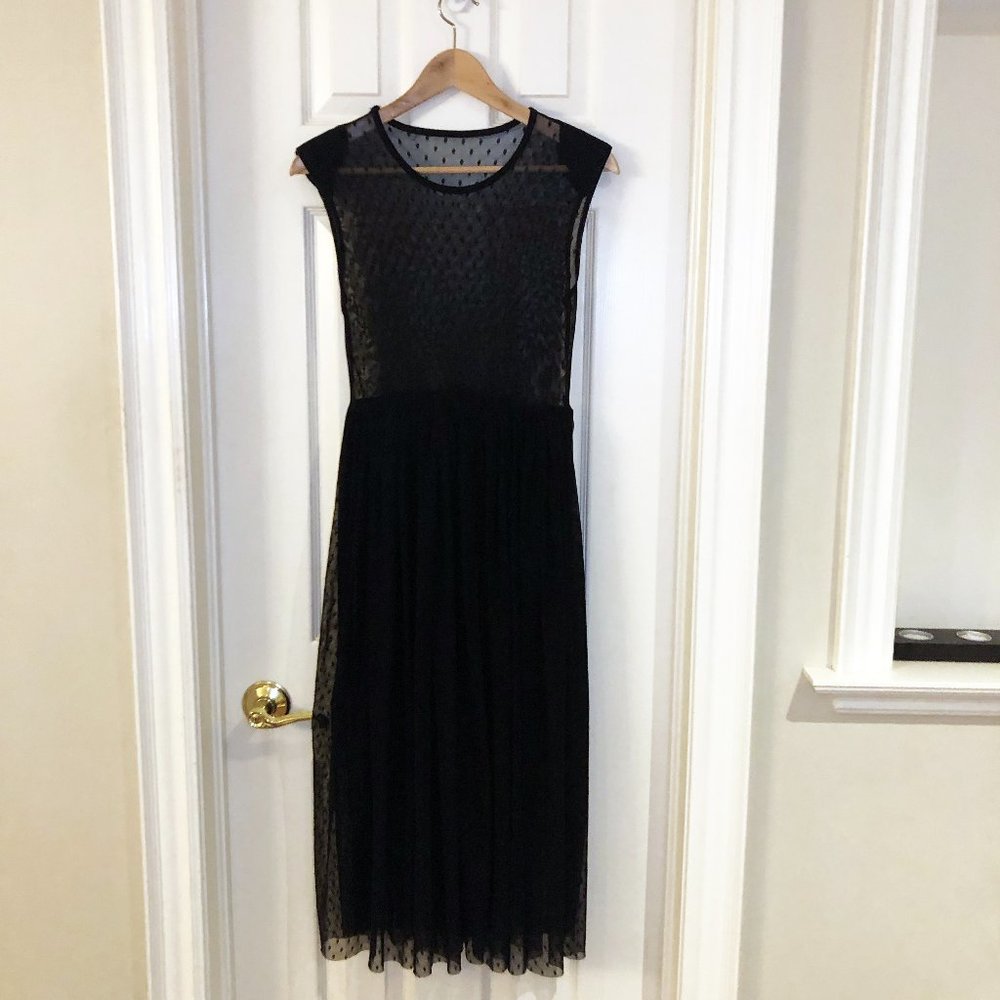 Sheer Polka Dot Long Black Tulle Maxi Dress